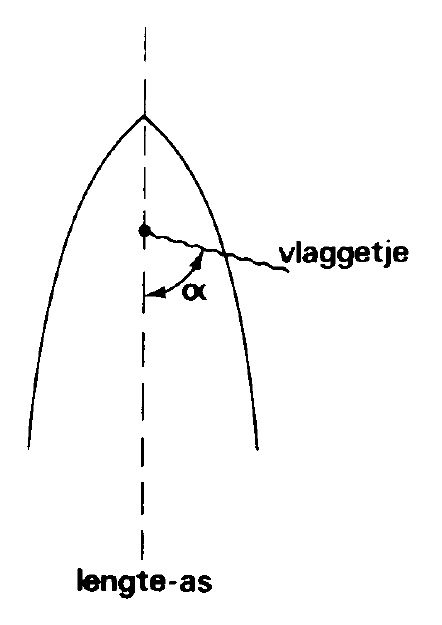 figuur bij de opgave