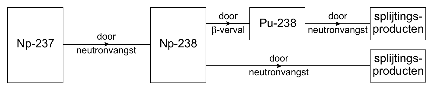 door door splijtings- Pu-238 β-verval neutronvangst producten door Np-237 Np-238 neutronvangst door splijtings- neutronvangst producten