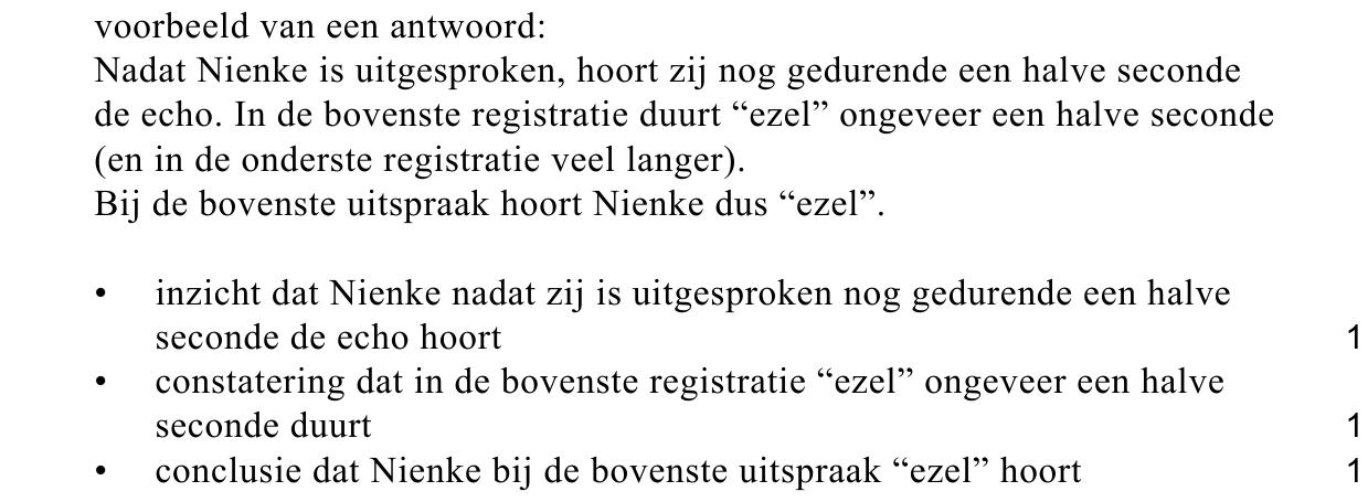 beoordelingsmodel vraag 13