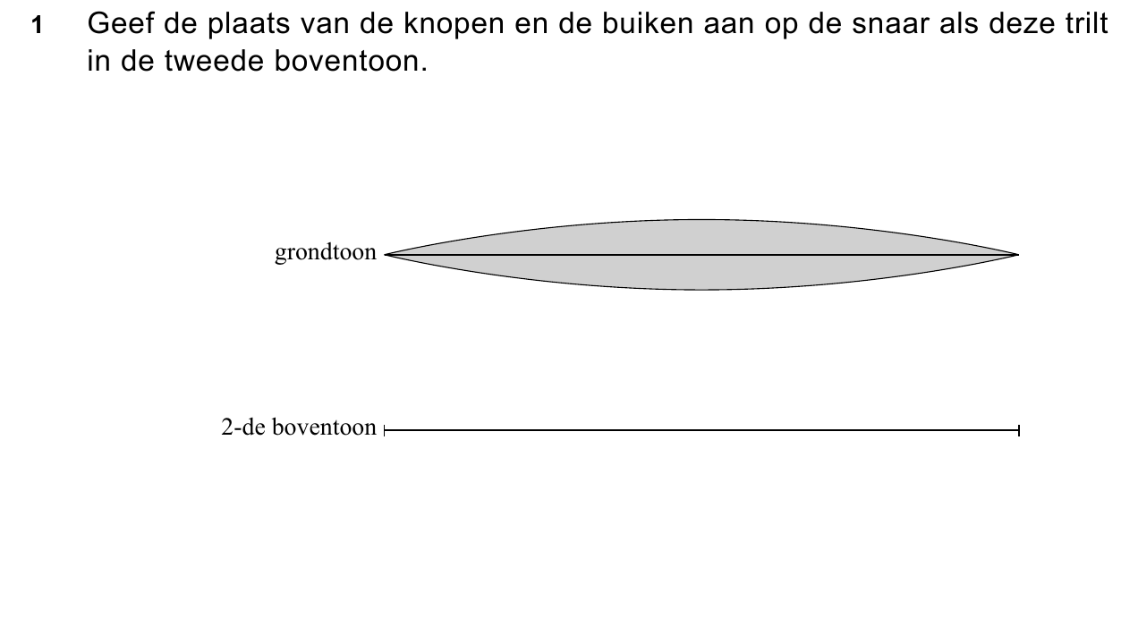 uitwerkbijlage bij vraag 1