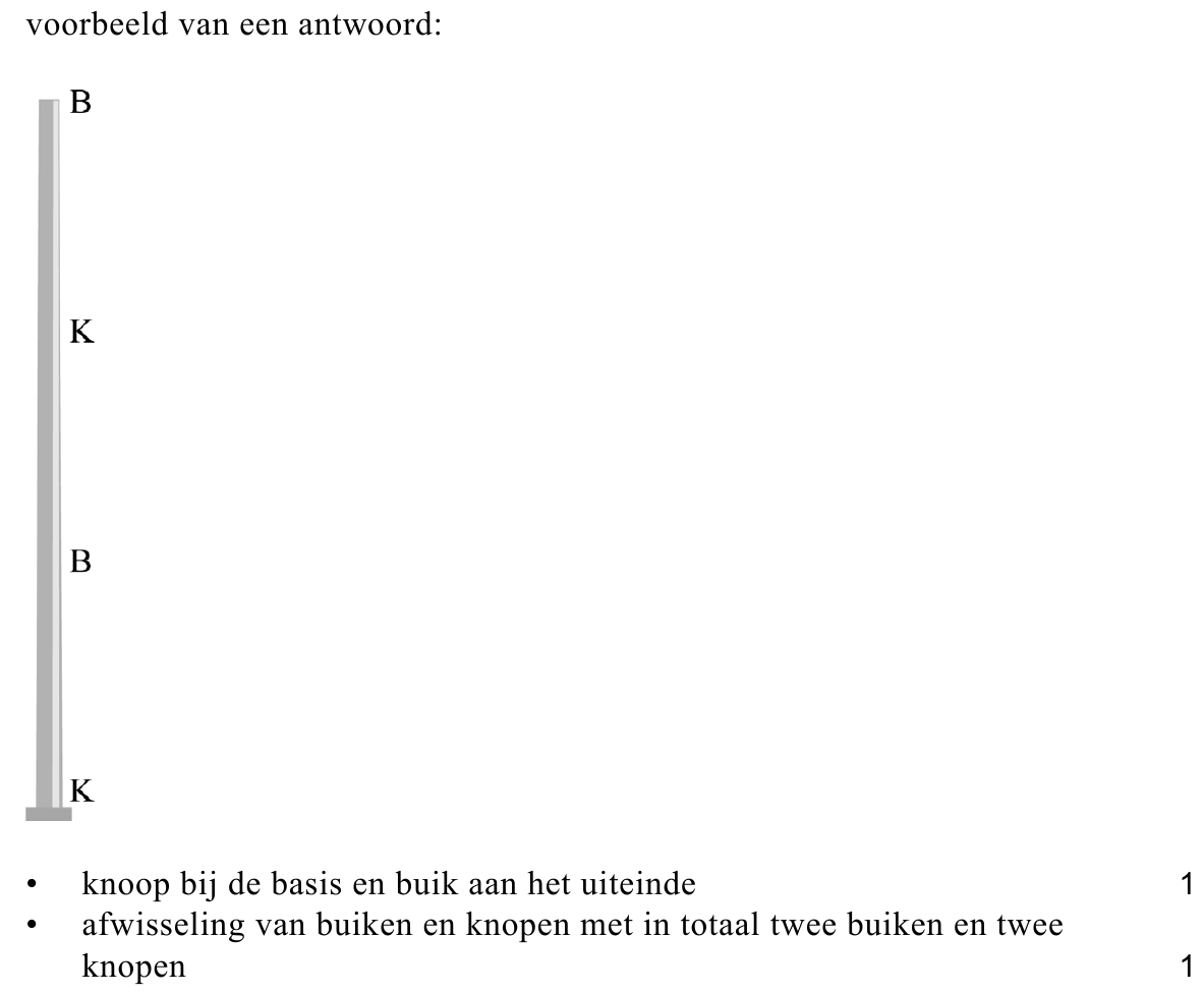 beoordelingsmodel vraag 17