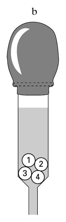 b 1 2 3 4