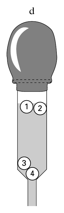 d 1 2 3 4