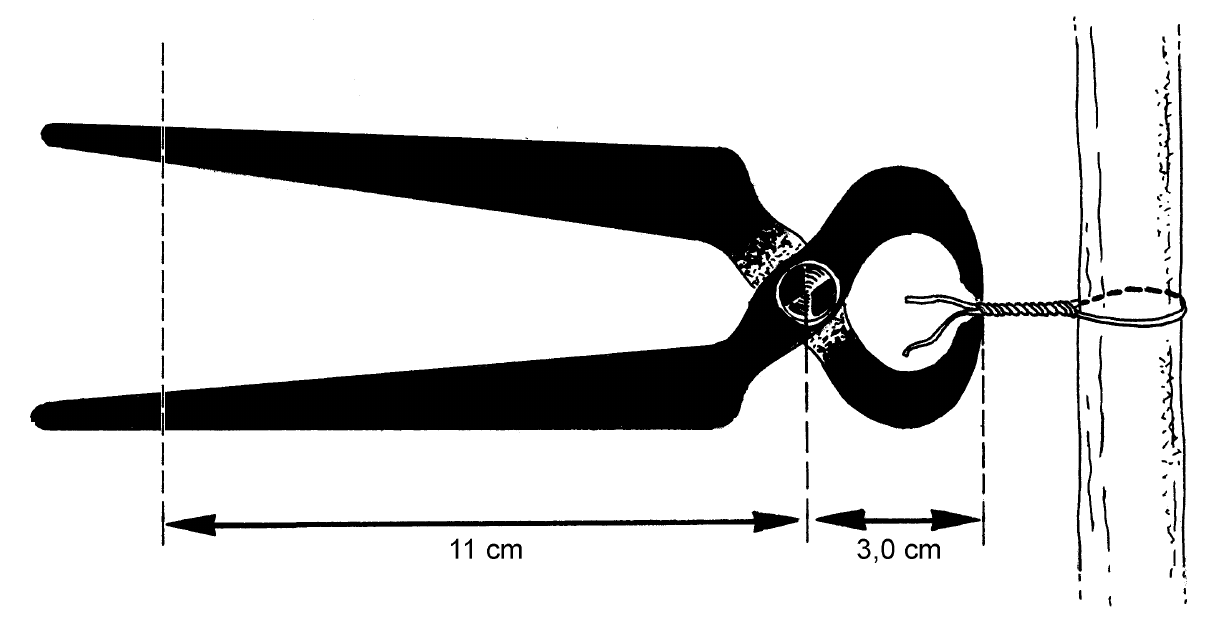 figuur bij de opgave