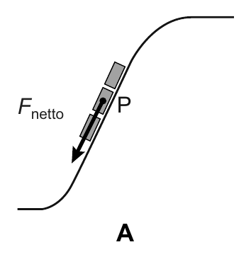 F netto P A