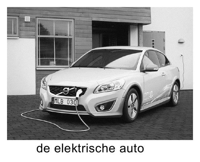 de elektrische auto