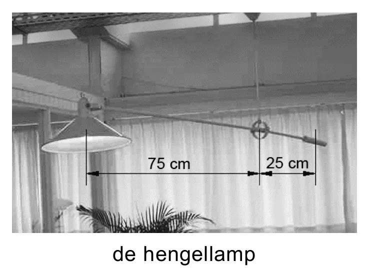 de hengellamp