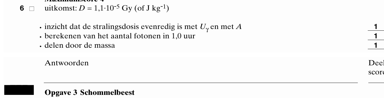 beoordelingsmodel vraag 6