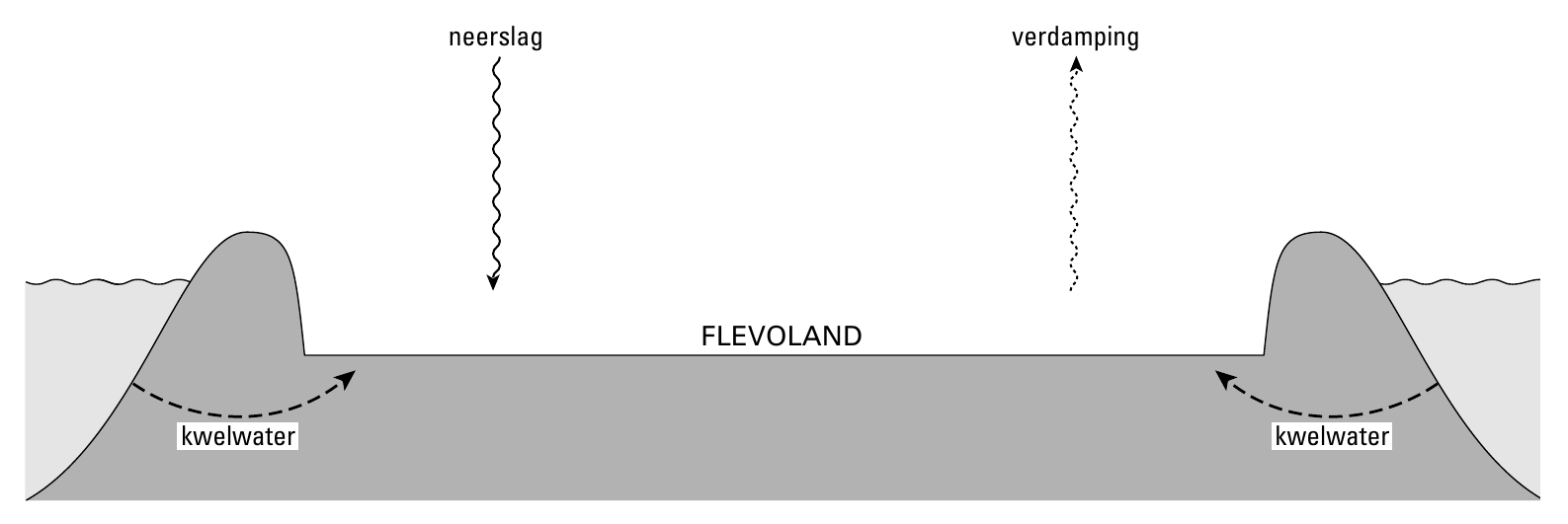 neerslag verdamping FLEVOLAND kwelwater kwelwater
