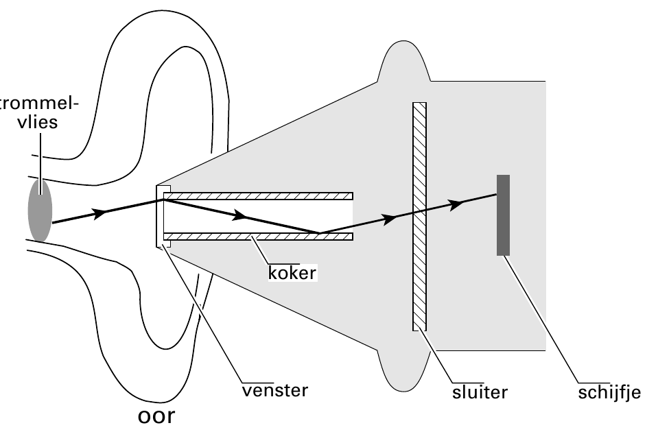 vlies koker venster sluiter schijfje oor