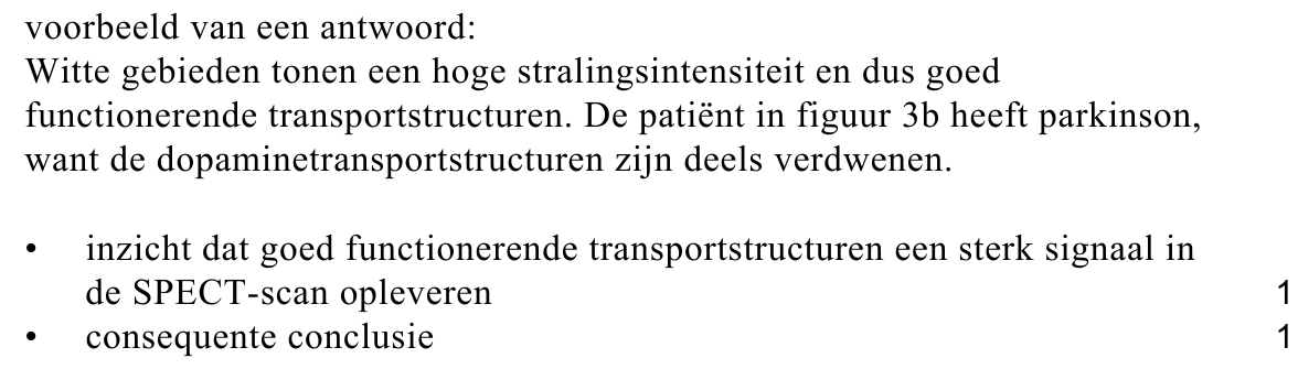 beoordelingsmodel vraag 17